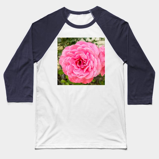 Rose Baseball T-Shirt by thadz